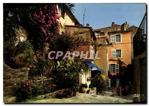 Moderne Karte La Cote d'Azur Bormes les Mimosas un Coin Pittoresque