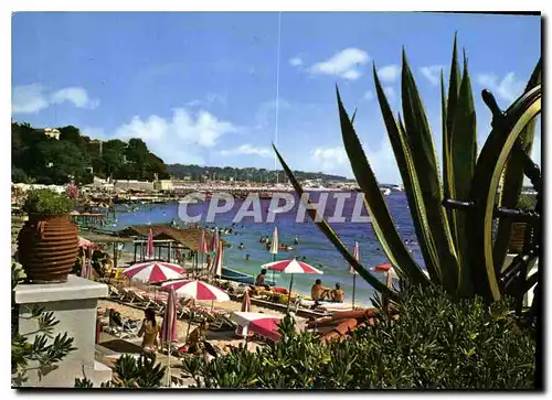 Cartes postales moderne Juan les Pins vue sur le Port de Plaisance prise de la terrasse du casino Municipal Dans le fond