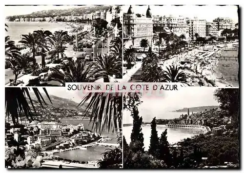 Cartes postales moderne Souvenir de la cote d'Azur Nice Cannes Monte Carlo Menton