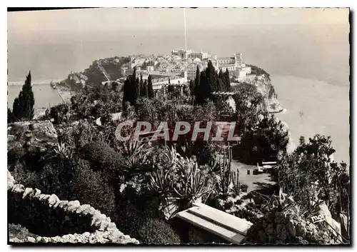 Cartes postales moderne Principaute de Monaco Monaco le rocher