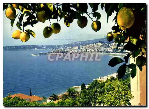 Cartes postales moderne La Cote d'Azur miracle de la nature Menton A M vue generale