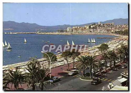 Moderne Karte Cannes cote d'Azur la croisette