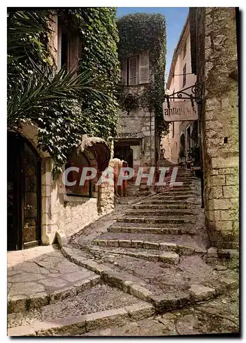 Cartes postales moderne Saint Paul de Vence La Rue Centrale