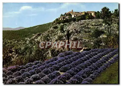 Cartes postales moderne Gourdon Cote d'Azur les Champs de Levande le Vieux Village