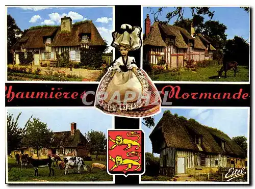 Cartes postales moderne Chaumieres Normandes