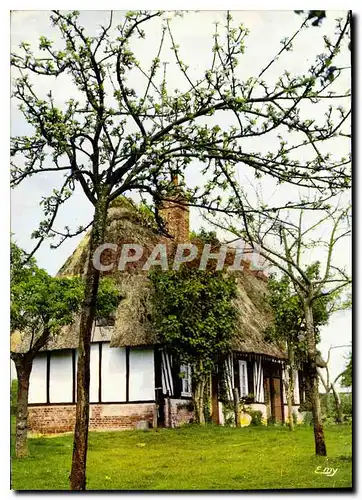 Cartes postales moderne La Normandie Pittoresque Chaumiere du Pays d'Auge