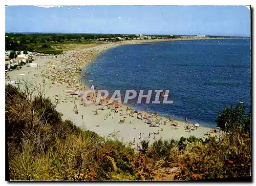 Cartes postales moderne La Cote Vermeille Argeles sur Mer vue d'ensemble de la Plage