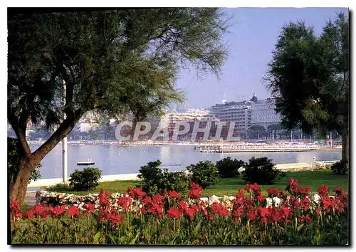 Cartes postales moderne Cannes Alpes Maritimes Promenade autour de la Croisette