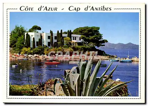 Cartes postales moderne Cote d'Azur Cap d'Antibes Juan les Pins le petit port