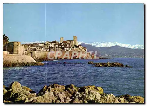 Cartes postales moderne Antibes ses remparts dans le fond la chaine des Alpes