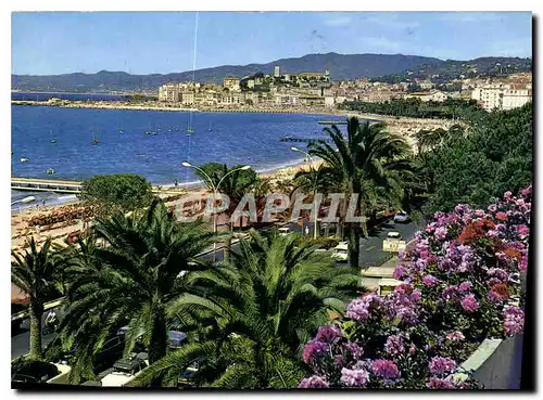 Moderne Karte Cannes Cote d'Azur French Riviera la croisette et les plages le Suquet