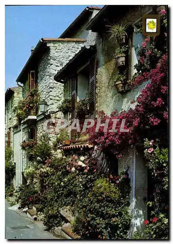 Cartes postales moderne Lumiere et couleurs de la Cote d'Azur