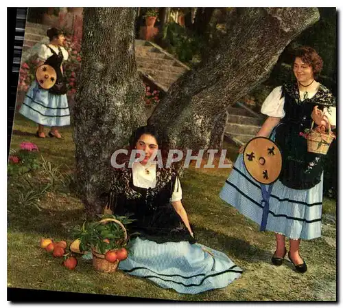 Cartes postales moderne Les Sites Merveilleux de la Cote d'Azur Jeunes filles sous les oliviers Folklore