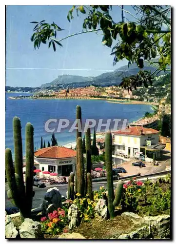 Cartes postales moderne Couleurs et lumiere de France la Cote d'Azur miracle de la nature Menton Alpes Maritimes ses pla