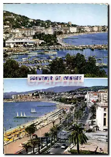 Cartes postales moderne La Cote d'Azur Cannes A M le port le casino municipal et la croisette la croisette et le suquet