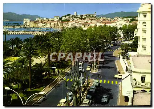 Cartes postales moderne Cannes la promenade de la Croisette dans le fond le Suquet