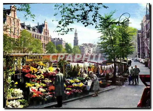 Cartes postales moderne Amsterdam Holland