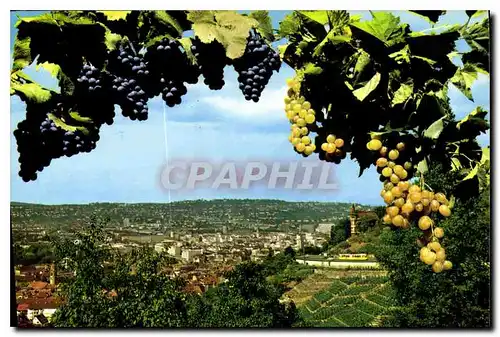 Cartes postales moderne Stuttgart Die Stadt zwischen wald und Reben