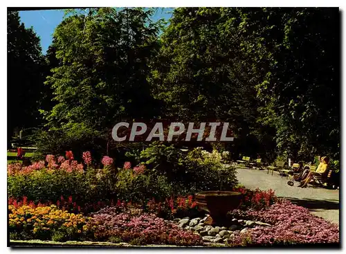 Cartes postales moderne Larrach en der Dreilandereche Rosenfelspark