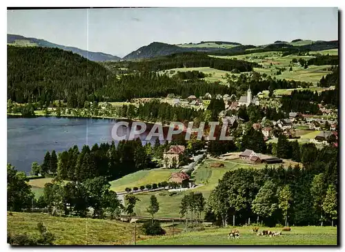 Cartes postales moderne Titisee Schwarzwald
