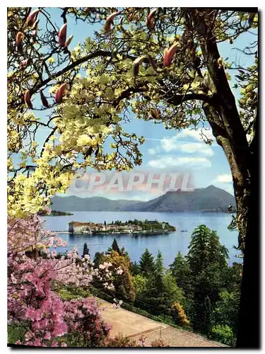 Cartes postales moderne Isola Bella Lac Majeur Printemps