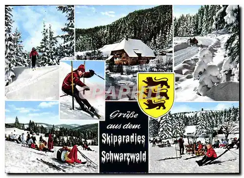 Moderne Karte Grube aus dem Skiparadies Schwarwald