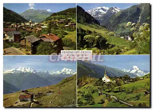 Cartes postales moderne Fiesch Wallis Schweiz Kuhboden mit Mischabelgruppe