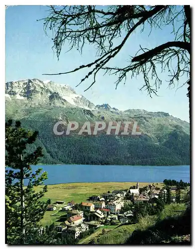 Cartes postales moderne Silvaplana Oberengadin