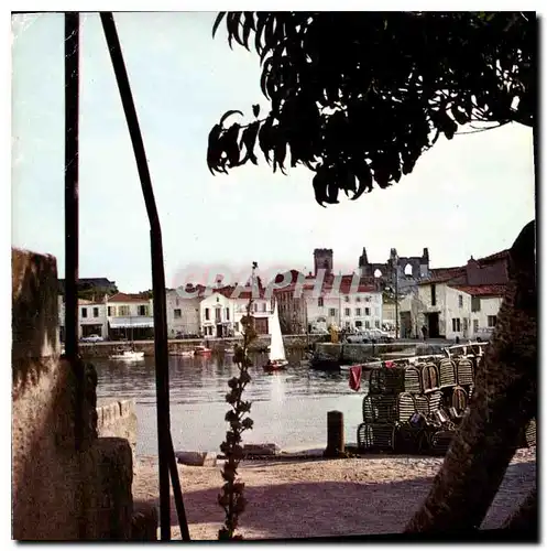 Cartes postales moderne Ile de Re Saint Martin de Re le soir sur le Port