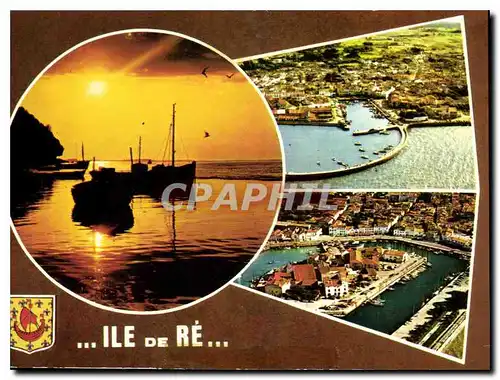 Cartes postales moderne Ile de Re Ch Mme