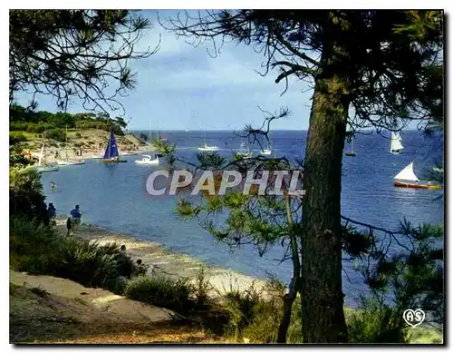 Cartes postales moderne Ile de Re Charente Maritime les portes le Fier