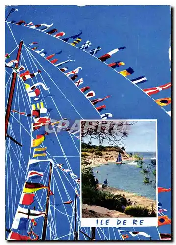 Cartes postales moderne Ile de Re Charente Maritime Anse de Trousse Chemise