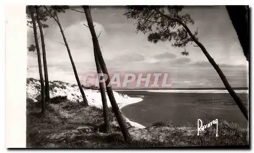 Cartes postales moderne Images de France Entre la Faute et la Tranche la Cote aux Mouettes