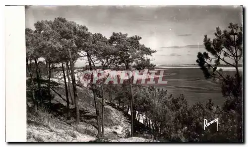 Moderne Karte Images de France Entre la Faute et la Tranche la Cote aux Mouettes