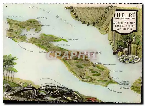 Cartes postales moderne L'Ile de Re Charente Maritime ses belles plages son ciel serein son air pur