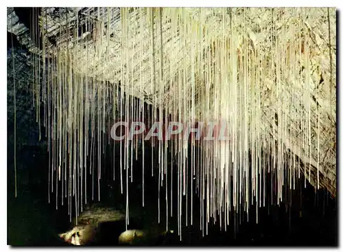 Cartes postales moderne Grotte de Choranche Isere Site Classe unique en Europe les Fistuleuses