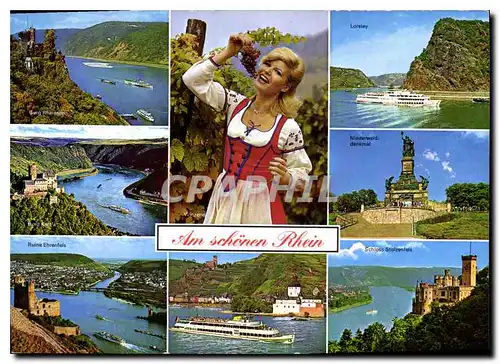 Cartes postales moderne Am schonen Rhein