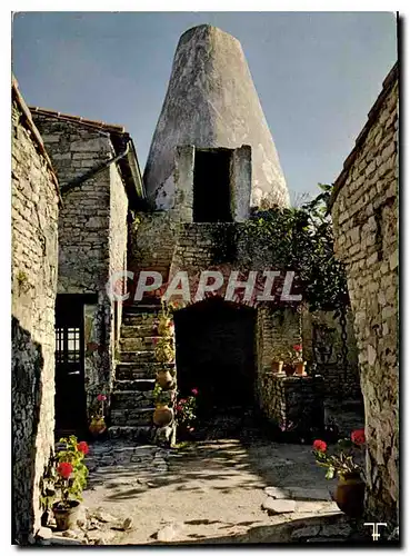 Cartes postales moderne Ile de Re la Couarde sur Mer le four a chaux