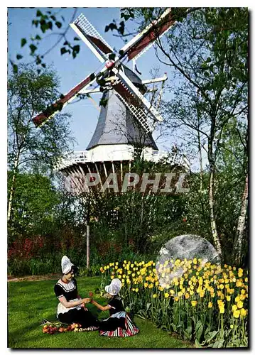 Cartes postales moderne La Hollande en Parure des Fleurs Moulin a vent Folklore