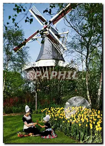 Moderne Karte La Hollande en Parure des Fleurs Moulin a vent Folklore