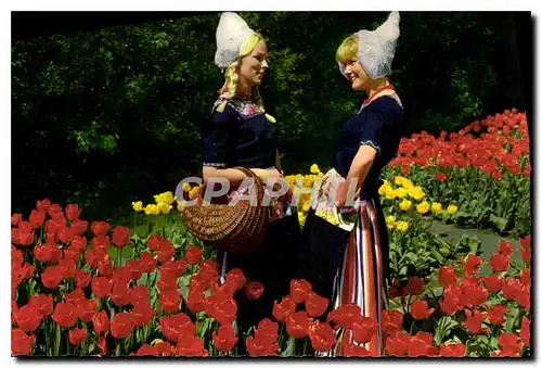 Cartes postales moderne La Hollande en Parure des Fleurs Folklore