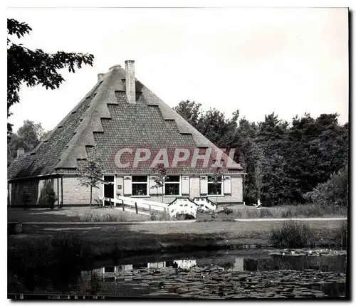 Cartes postales moderne Westfriese stolpboerderij Zuid Scharwoude N H