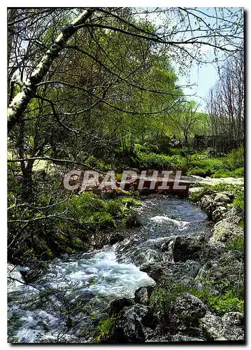 Moderne Karte Quel plaisir d'ecouter ruisseler l'eau fraiche de nos campagnes
