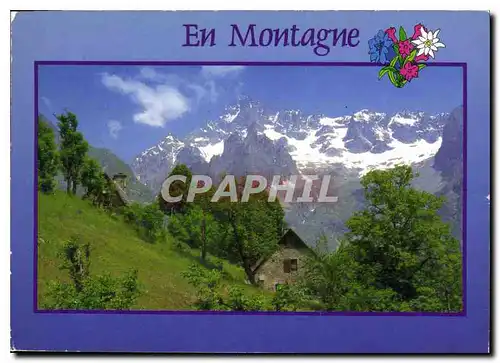 Cartes postales moderne En Montagne Images de Chez Nous Chaleur de midi