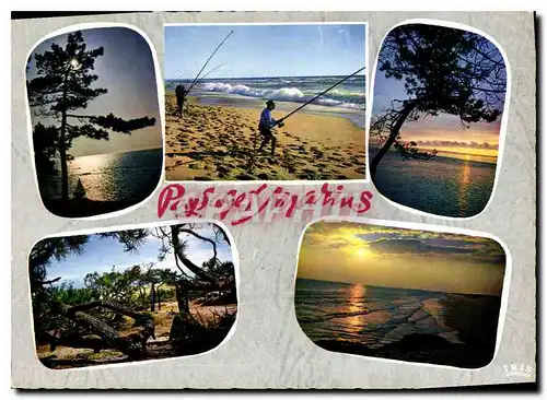 Cartes postales moderne Paysages Marins Peche