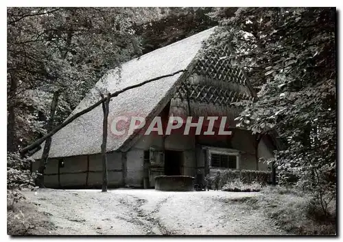 Cartes postales moderne Twents los hoes Beuningen