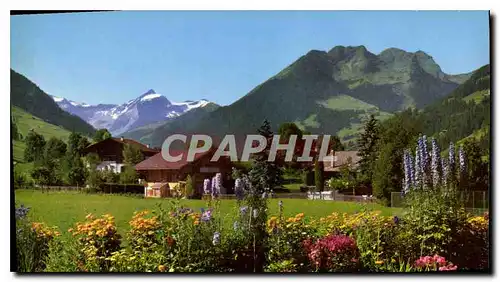 Cartes postales moderne Jardin du Parkhotel Reuteler Gstaad