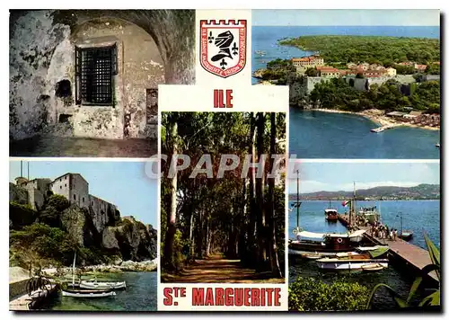 Cartes postales moderne Ile Ste Marguerite Cannes