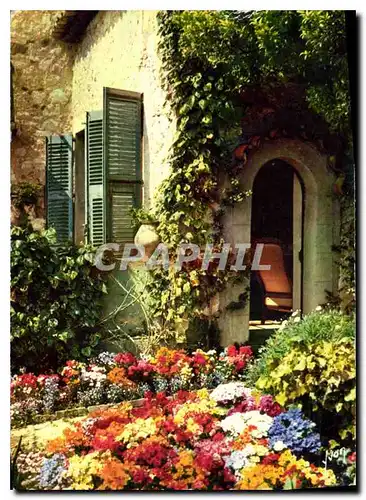 Cartes postales moderne Couleurs et Lumiere de France La Cote d'Azur miracle de la nature Jardin fleuri