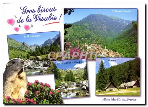 Cartes postales moderne L'Arriere Pays Nicois Alpes Maritimes La Vesubie